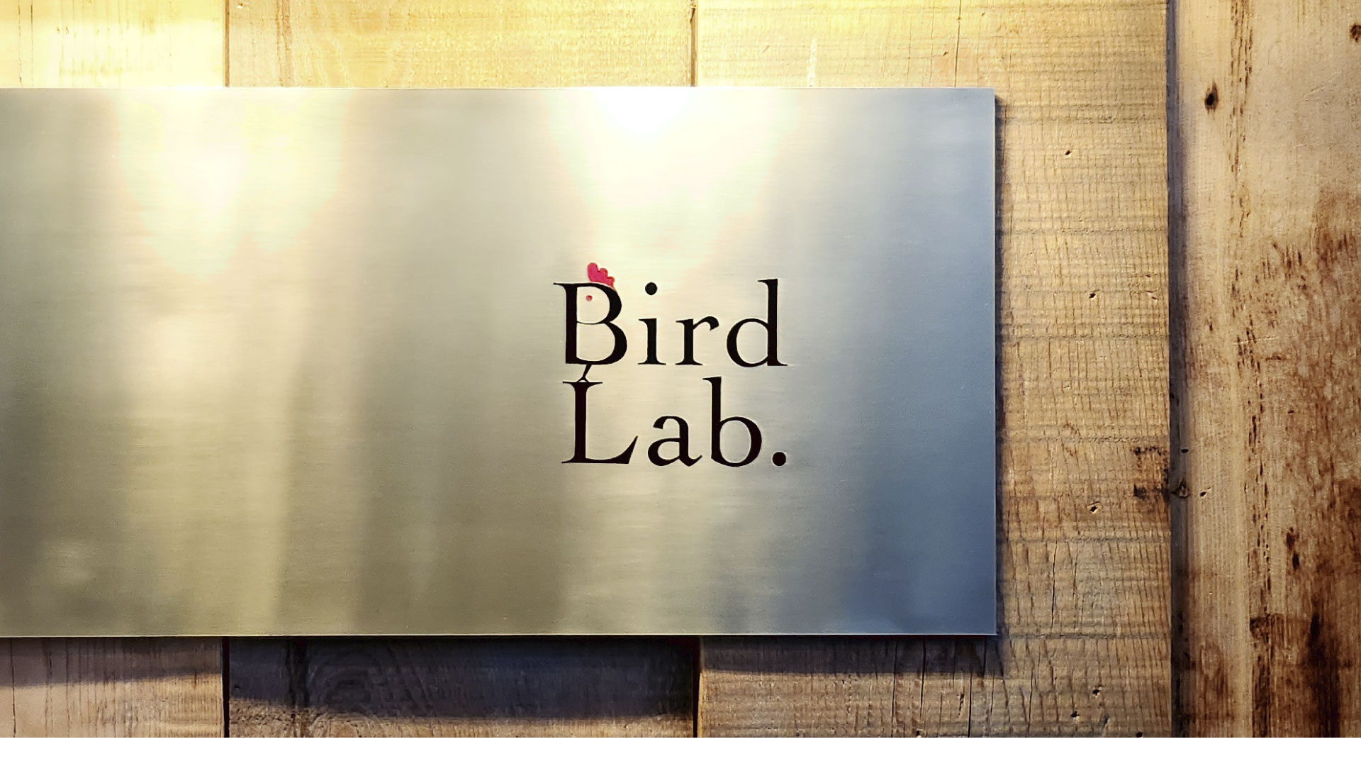 Bird Lab.